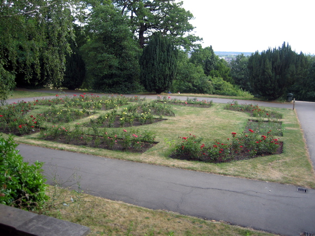 Rose Garden