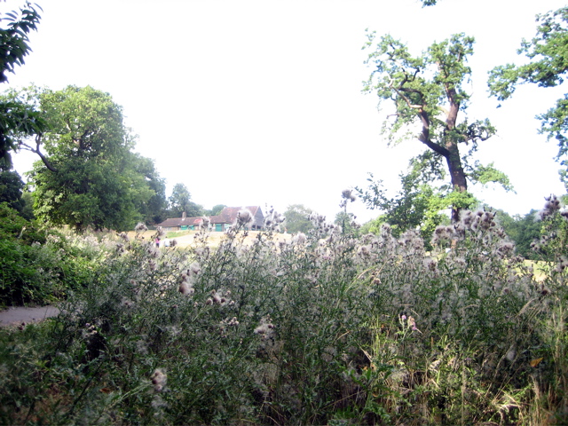 Oxleas Meadows