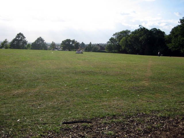 Still in Eltham Park North