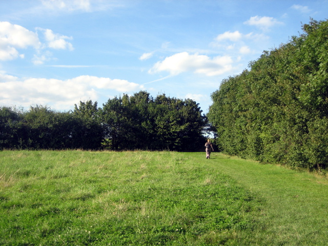 Still Fryent Country Park