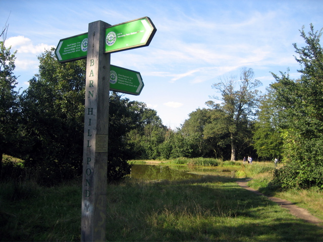 Barn Hill Pond
