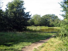 Barn Hill Pond