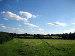 Still Fryent Country Park