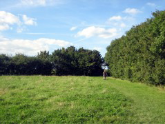 Still Fryent Country Park