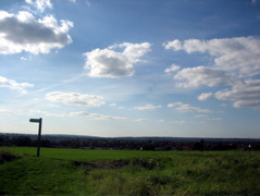 Fryent Country Park