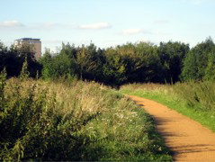 The shores of Brent Reservoir