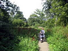 Along the River Brent