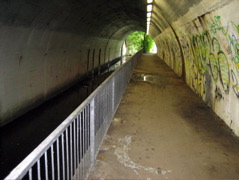 The Glory of the River Brent