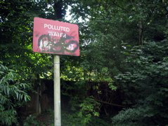 Polluted Water