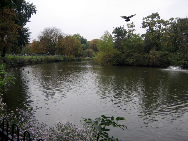 Nature in Clissold Park
