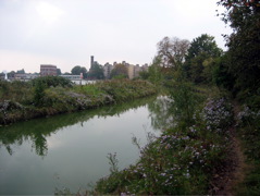 Still on the New River