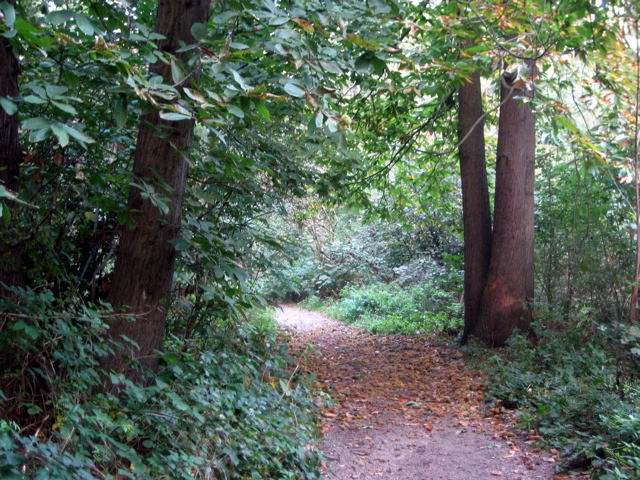 Beckenham Place Park