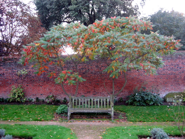 A Nice Resting Place