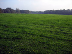 Entering Beckenham Place Park