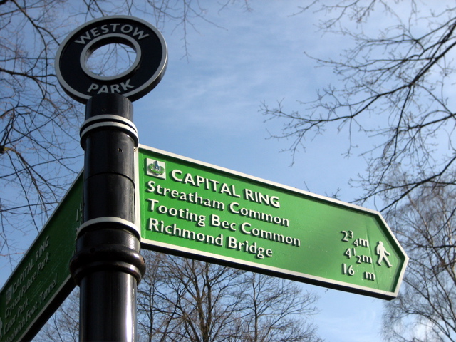 Obligatory Ring Sign