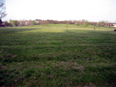 Streatham Common