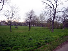Wandsworth Common