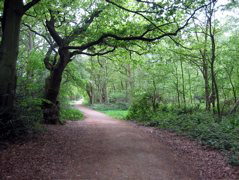 Putney Heath