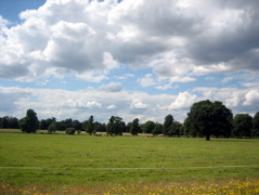 Grounds of Syon Park