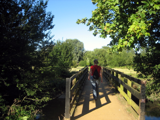 Bridge over troubled water