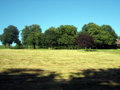 Brent Lodge Park