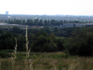 On Horsenden Hill