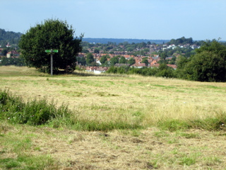 On Horsenden Hill