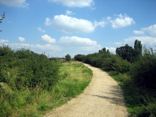 Paradise Fields Wetlands
