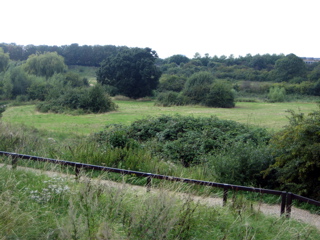 Near the Grand Union Canal