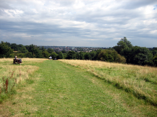 Barnet Fields