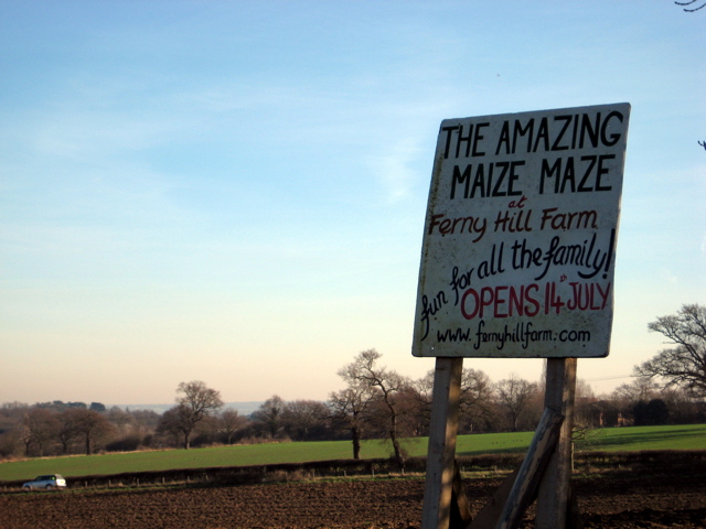 The Amazing Maize Maze!