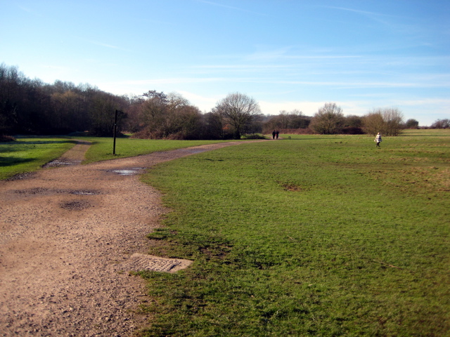 Still on Enfield Chase