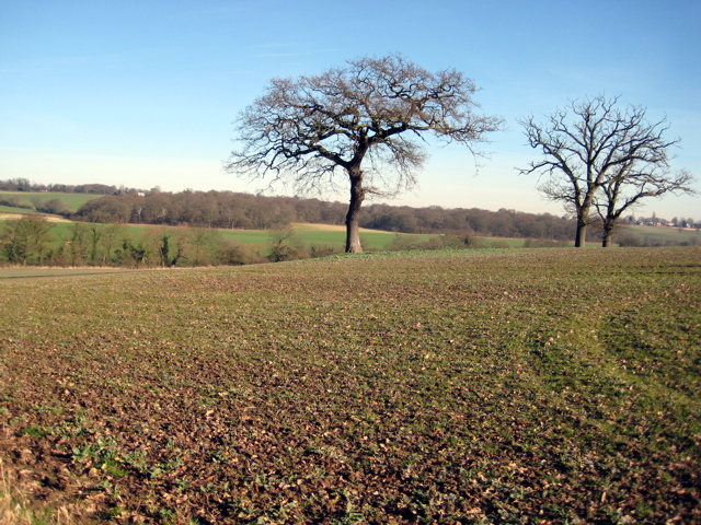 The Barren Winter Landscape