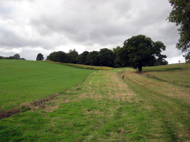 Fields near Harold Hill