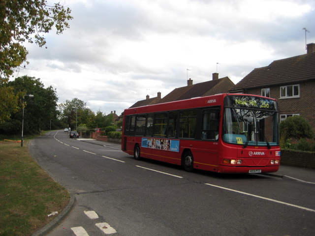 The Urban Scenery begins