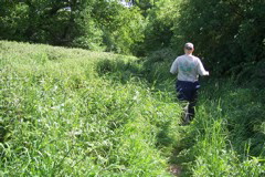 Scadbury Park is a bit wild!