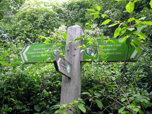 Sign in the forest