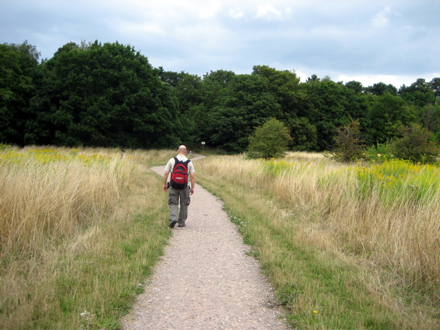 Heading for the forest
