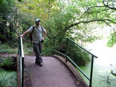 Tom chills on Da Bridge