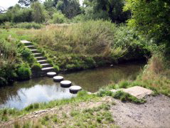 More of the Hogsmill