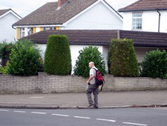 Tom is at home in the Suburbs