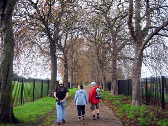 Entering Bushy Park