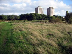 Hounslow Heath
