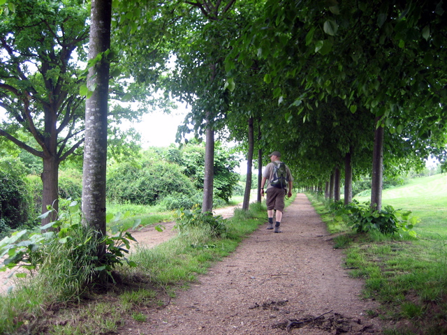 Still in Stockley Country Park