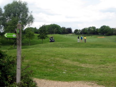 Golf Course