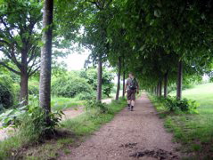 Still in Stockley Country Park