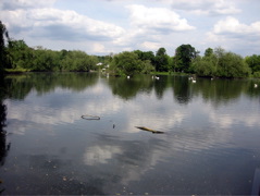 Little Britain Lakes