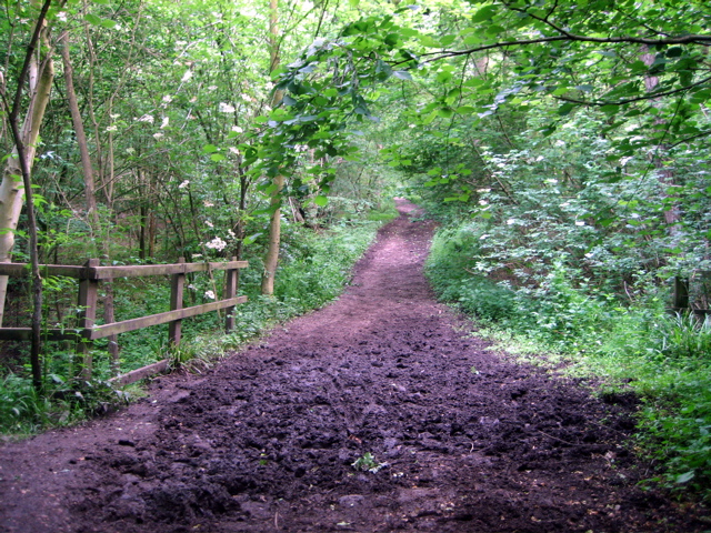 Bishop's Wood Country Park