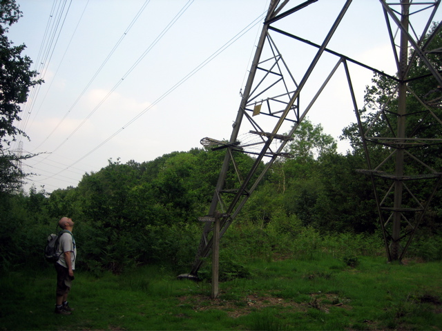 Under the Pylon