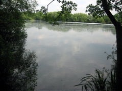 Frays Valley Nature Reserve